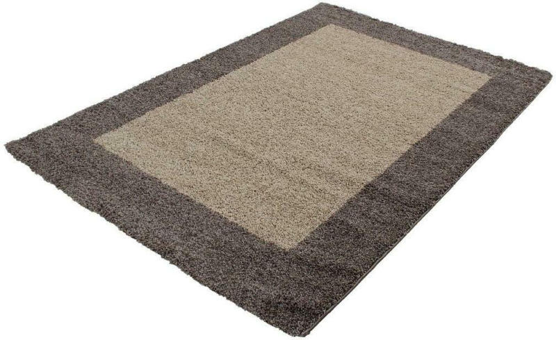 Hochflor Teppich Taupe Life 240x340 cm
