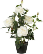 Möbelix Kunstpflanze Rosenbusch Weiß H: 68 cm mit Topf