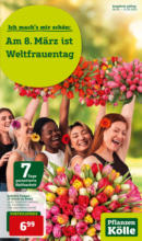 Pflanzen-Kölle Gartencenter Pflanzen Kölle: Weltfrauentag - bis 12.03.2023