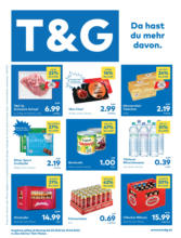 T&G Flugblatt
