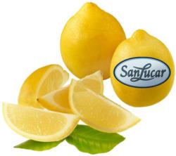 SanLucar Zitronen aus Spanien