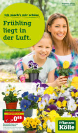 Pflanzen Kölle: Frühling liegt in der Luft