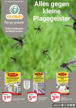GLOBUS Markthalle Globus: OnlineFaltblatt Insektizide - bis 18.03.2023