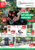 hagebaumarkt Flugblatt
