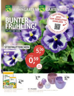 Oldenburger Wohngarten GmbH & Co. KG Bunter Frühling! - bis 29.03.2023