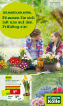 Pflanzen-Kölle Gartencenter Pflanzen Kölle: Stimmen Sie sich mit uns auf den Frühling ein! - bis 02.04.2023