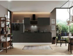 Küchenzeile mit Geräten B: 310 cm Grau/Weiß