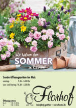 Florhof - die Erlebnisgärtnerei Florhof: Wir haben den Sommer im Kasten - bis 13.05.2023