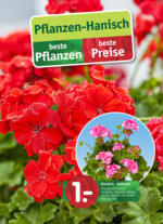 Pflanzen Hanisch Pflanzen Hanisch: Beste Pflanzen, beste Preise - bis 26.04.2023