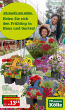 Pflanzen-Kölle Gartencenter Pflanzen Kölle: Ich mach's mir schön - bis 23.04.2023