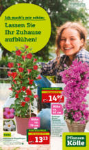 Pflanzen-Kölle Gartencenter Pflanzen Kölle: Ich mach's mir schön - bis 30.04.2023