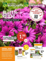 Oldenburger Wohngarten GmbH & Co. KG Blüten-Reich! - bis 26.04.2023