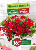 Pflanzen Hanisch Pflanzen Hanisch: Beste Pflanzen, beste Preise - bis 12.05.2023