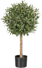 Möbelix Kunstpflanze Olive Grün H: 90 cm mit Topf