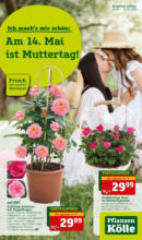 Pflanzen-Kölle Gartencenter Pflanzen Kölle: Am 14. Mai ist Muttertag! - bis 14.05.2023