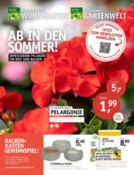 Oldenburger Wohngarten GmbH & Co. KG Ab in den Sommer! - bis 15.05.2023