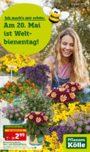 Pflanzen-Kölle Gartencenter Pflanzen Kölle: Am 20. Mai ist Weltbienentag - bis 21.05.2023