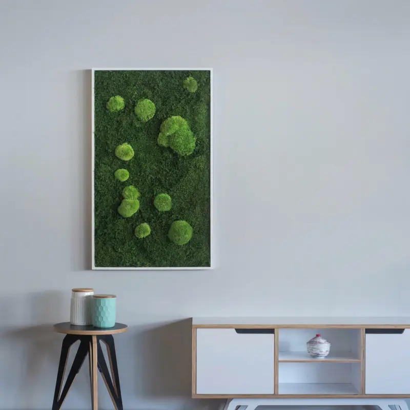 Moosbild Stylegreen