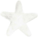 Möbelix Kinderteppich Stern Weiß Lovely Kids 60x63 cm