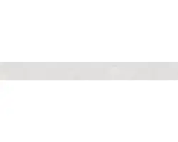 Feinsteinzeug Sockelfliese Donau 6,0x60,0 cm weiß