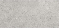 Feinsteinzeug Bodenfliese Torino 30,0x60,0 cm anthrazit matt
