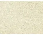 Hornbach Teppichboden Saxony VENEZIA ecru 400 cm breit (Meterware)