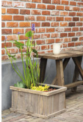 Miniteich 'Brussels Brown' FloraSelf mit Pflanzen inkl. Treibring 40 cm Holzkiste