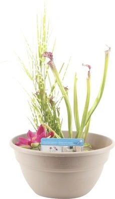 Miniteich FloraSelf mit Pflanzen inkl. Treibring Ø 40 cm Schale taupe