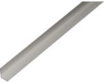 Hornbach Winkelprofil Aluminium silber 22,8 x 19 x 1,8 mm 1,8 mm , 1 m