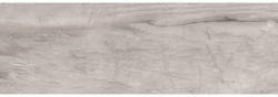 Steinzeug Wandfliese Terra 25,0x75,0 cm grau glänzend