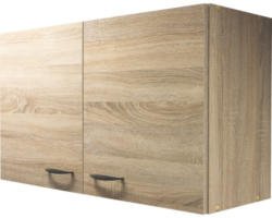 Hängeschrank Flex Well Oslo Sonoma Eiche 100x55x32 cm mit Drehtür