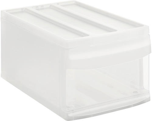 Aufbewahrungsbox Rotho 25,5 x 20,3 x 39,5 cm transparent