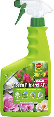 Rosen-Pilzfrei Compo Duaxo 750 ml Anwendungsfertiges Pumpspray Reg.Nr. 3345-903