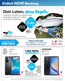Hartlauer Flugblatt