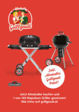Grillgaudi mit Almdudler
