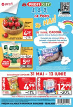 Profi Catalog Profi până în data de 13.06.2023 - până la 13-06-23