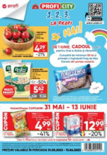 Catalog Profi până în data de 13.06.2023
