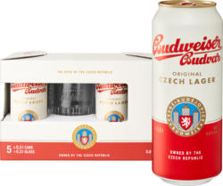 Birra Original Budweiser, 5 x 50 cl, incluso 1 bicchiere