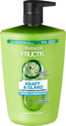 Fructis Shampoo Kraft & Glanz, 1 Liter