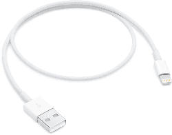 Apple Lightning auf USB Kabel (0.5 m)