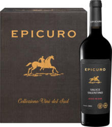 Epicuro Salice Salentino DOP Aged in Oak, Italie, Les Pouilles, 2021, 6 x 75 cl