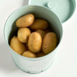 POCO Einrichtungsmarkt Wassertrüdingen Zeller Vorratsdose Kartoffel mint B/H/L: ca. 19,5x21,5x16,5 cm