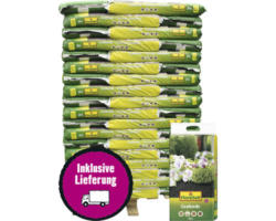 Graberde FloraSelf 54x20 L (= 1,08 m³) Palette inkl. Lieferung