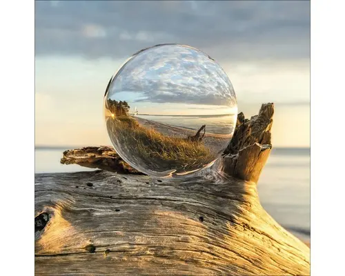 Glasbild Drop On Wood 50x50 cm GLA1908