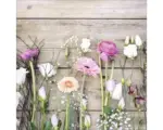 Hornbach Glasbild Bright & Dark Roses 50x50 cm GLA1914