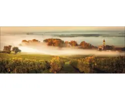 Glasbild Landschaft 50x125 cm GLA1989