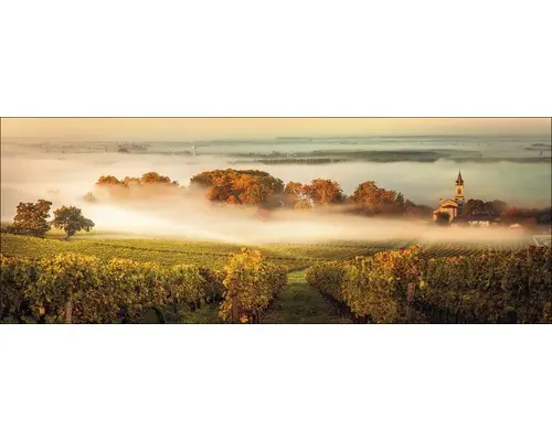 Glasbild Landschaft 50x125 cm GLA1989