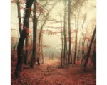Hornbach Glasbild Mystic Forest I 50x50 cm GLA2022