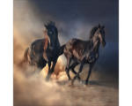 Hornbach Glasbild Two running Horses 30x30 cm GLA2029