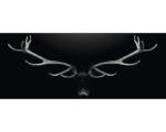 Hornbach Glasbild Deer Antler 30x80 cm GLA2030